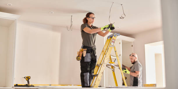 Best Electrical System Inspection  in Louisiana, MO